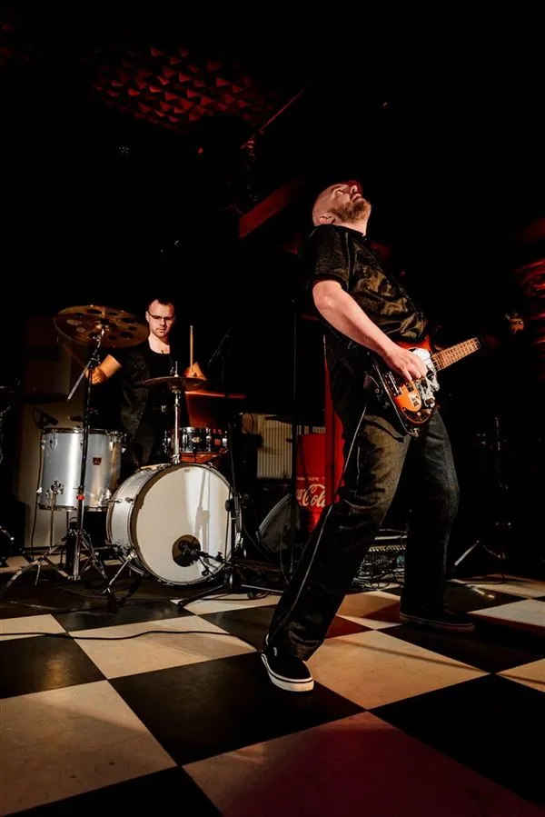 Publiczność koncertowa